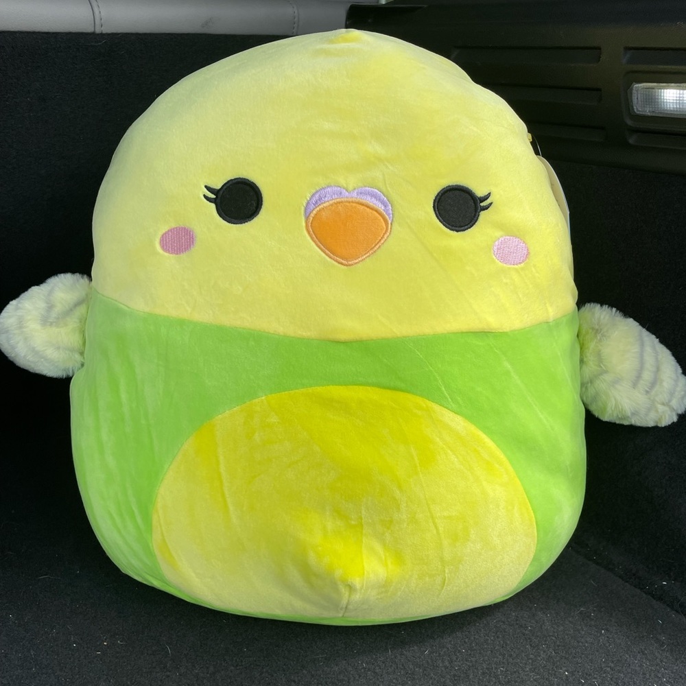 NWT 16” ✨1st to MKT✨Nellie Squishmallow